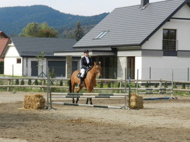 Babie Lato 2016